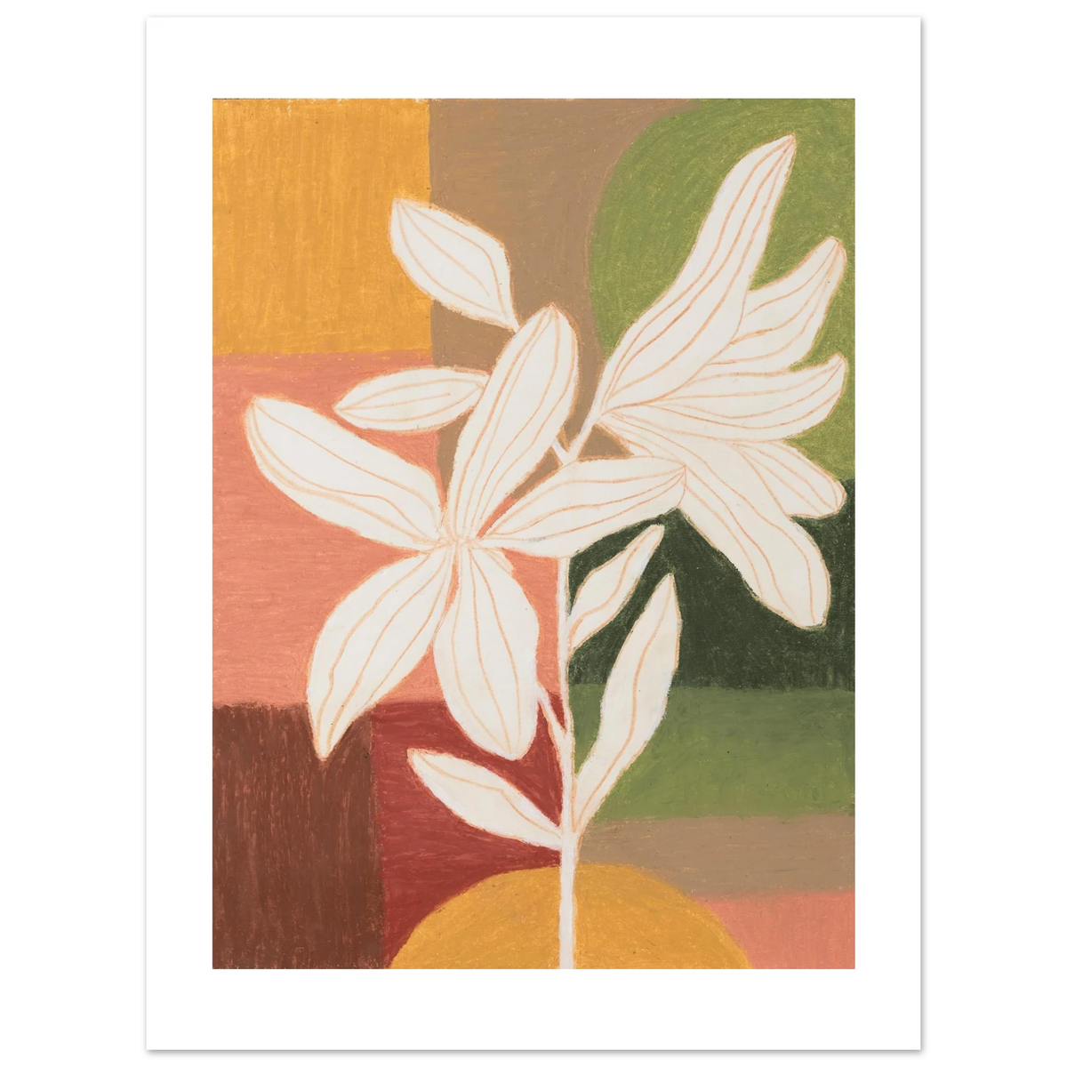 Flowers – weiße Blüte vor Pastell-Farbflächen, Ölpastell von Jordan